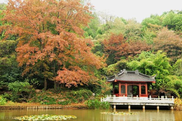 南京旅游必去的景点推荐（南京这十大旅游景点没去等于白来）