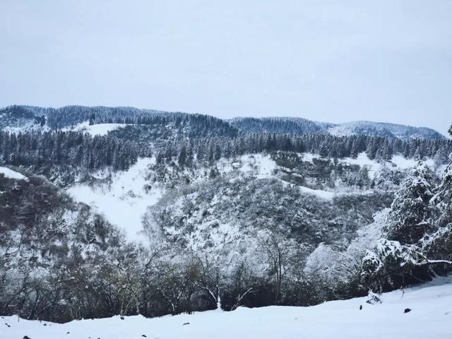 重庆仙女山旅游攻略（武隆旅游自由行攻略之仙女冰山）