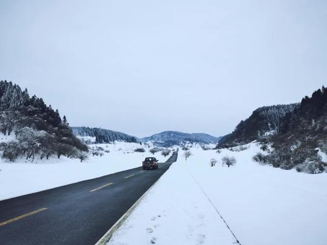 重庆仙女山旅游攻略（武隆旅游自由行攻略之仙女冰山）