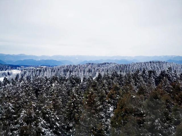 重庆仙女山旅游攻略（武隆旅游自由行攻略之仙女冰山）