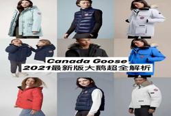 大鹅全名叫CanadaGoose(加拿大鹅受欢迎的原因）