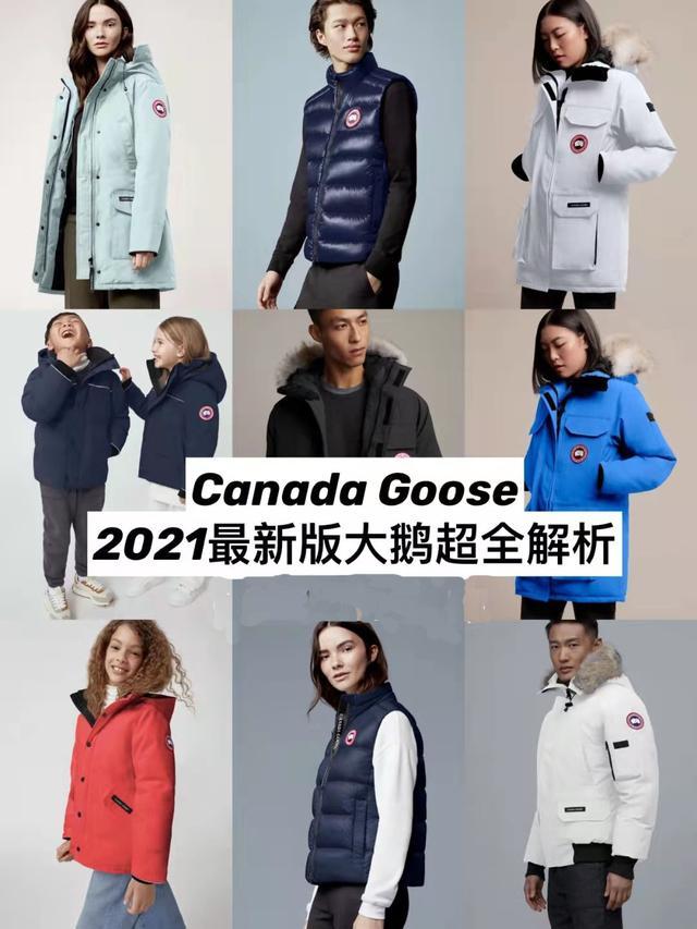 大鹅全名叫CanadaGoose(加拿大鹅受欢迎的原因）