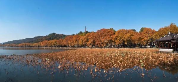 适合一天的旅游景点（25个一日游宝藏景点）