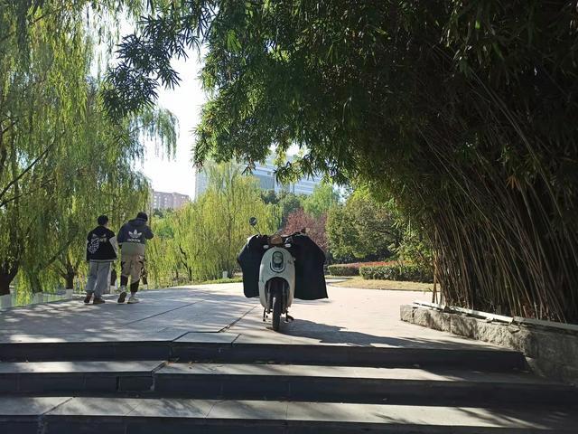 合肥一日游去哪里比较好（合肥一日游好玩的景点）