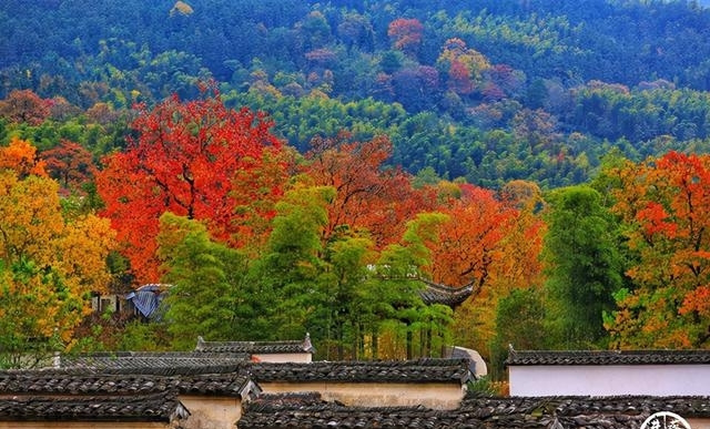 11月旅游的最佳地方（11月旅游值得推荐八个地方）