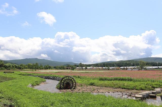 伊春最值得去的景点（中国避暑胜地天然氧吧伊春）