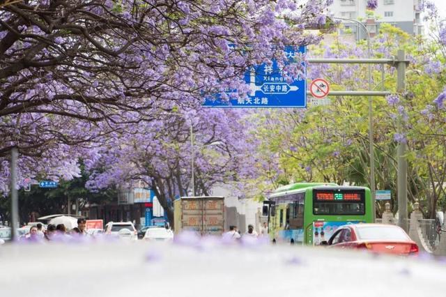 西昌在哪个省（天府旅游名县凉山州西昌市）