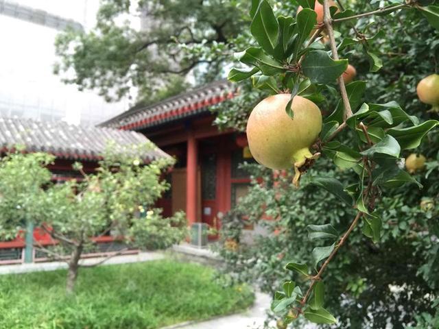 北京旅游最佳住宿地方（超完整北京住宿攻略）