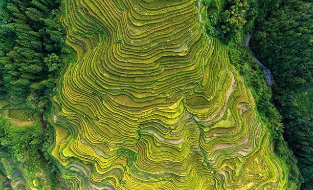 贵州黔东南旅游攻略（贵州黔东南景点路线）