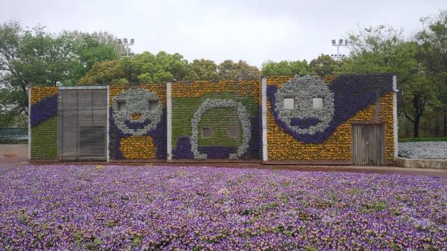 南京总统府门票35（南京除钟山风景区还去了这些地）