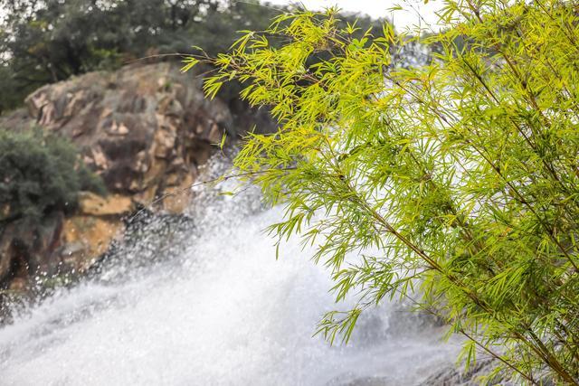 增城白水寨风景名胜区（避暑胜地天然氧吧白水寨）