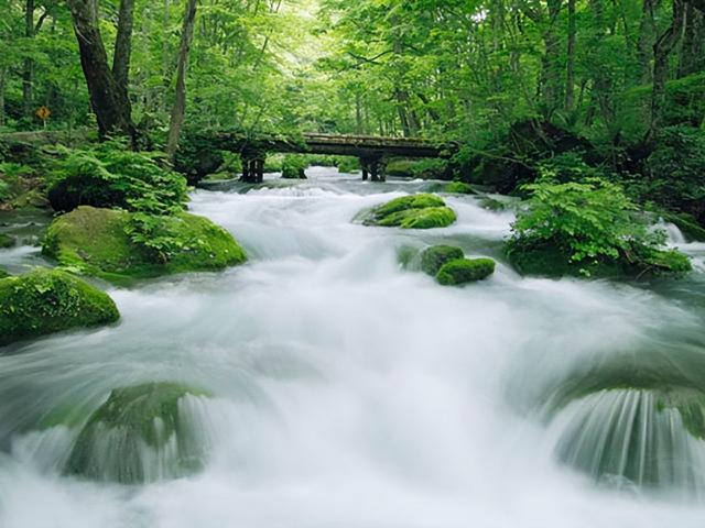 山西晋城夏季旅游攻略（给你来山西晋城避暑的理由）