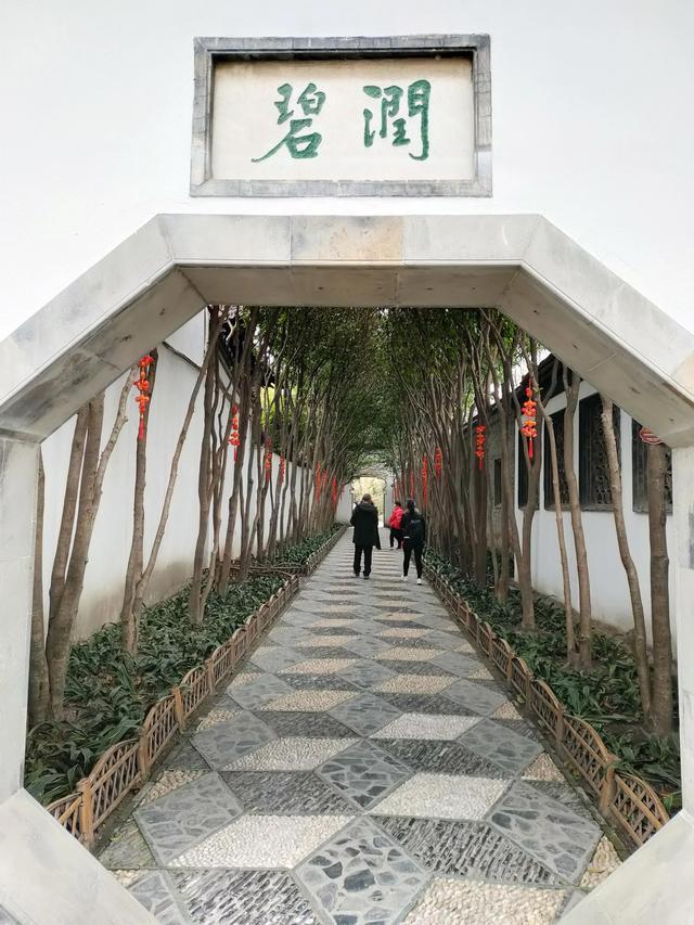 扬州个园景点介绍（带你去看图逛扬州的个园）