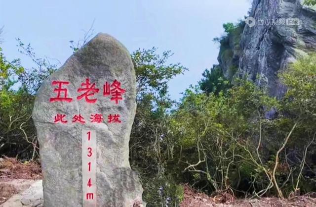 庐山旅游攻略门票价格（8月探秘庐山真实经历）