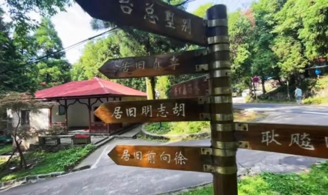 庐山旅游攻略门票价格（8月探秘庐山真实经历）