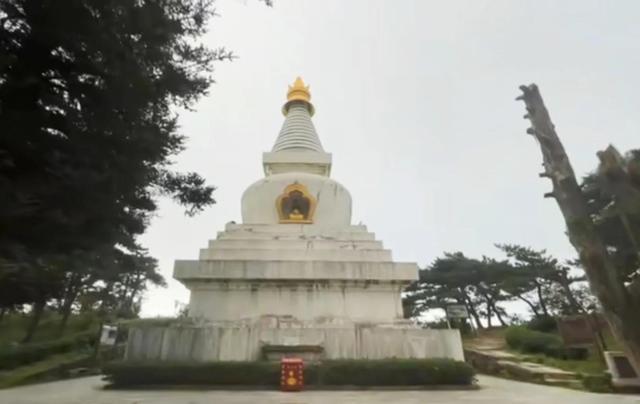 庐山旅游攻略门票价格（8月探秘庐山真实经历）