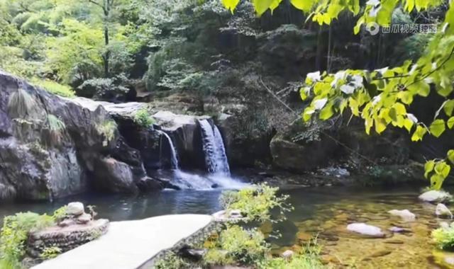 庐山旅游攻略门票价格（8月探秘庐山真实经历）