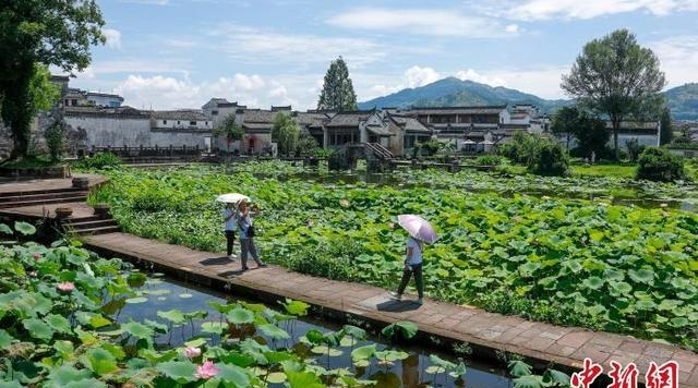 安徽黄山旅游景点图片(黄山夏荷舞古村)