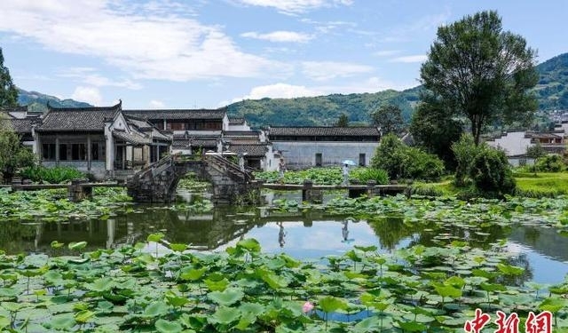 安徽黄山旅游景点图片(黄山夏荷舞古村)