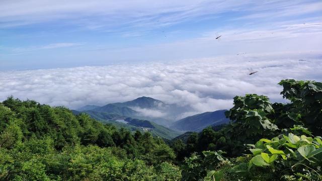 衡山二日游旅游攻略（衡山成人门票多少）