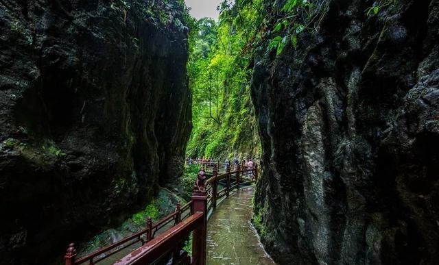 现在的峨眉山景色如何（最火的峨眉山夏日玩法）