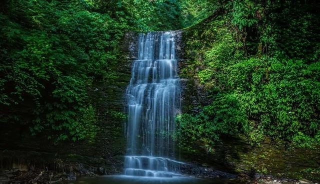 现在的峨眉山景色如何（最火的峨眉山夏日玩法）