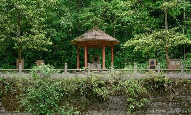 现在的峨眉山景色如何（最火的峨眉山夏日玩法）