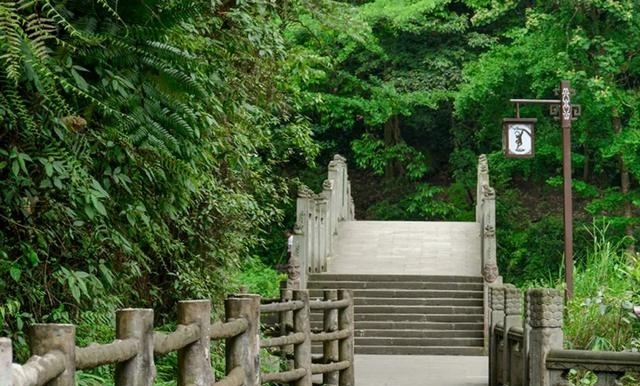 现在的峨眉山景色如何（最火的峨眉山夏日玩法）