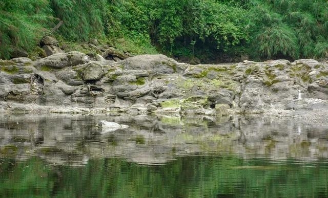 现在的峨眉山景色如何（最火的峨眉山夏日玩法）