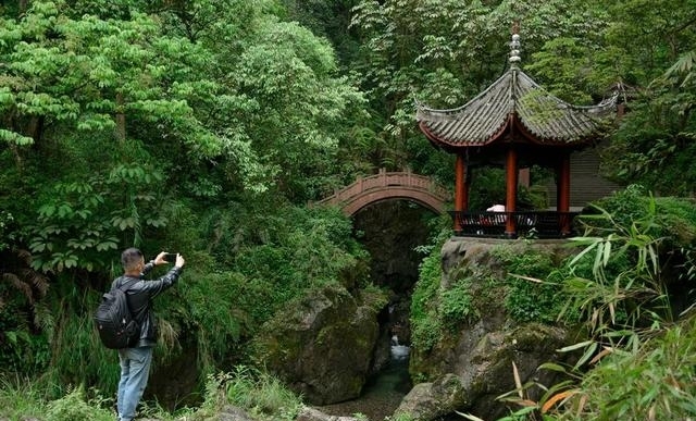 现在的峨眉山景色如何（最火的峨眉山夏日玩法）