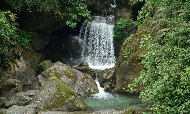 现在的峨眉山景色如何（最火的峨眉山夏日玩法）