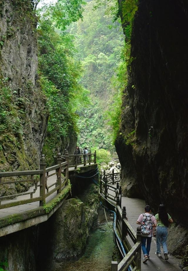 现在的峨眉山景色如何（最火的峨眉山夏日玩法）