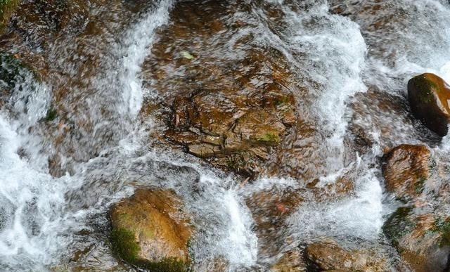 现在的峨眉山景色如何（最火的峨眉山夏日玩法）