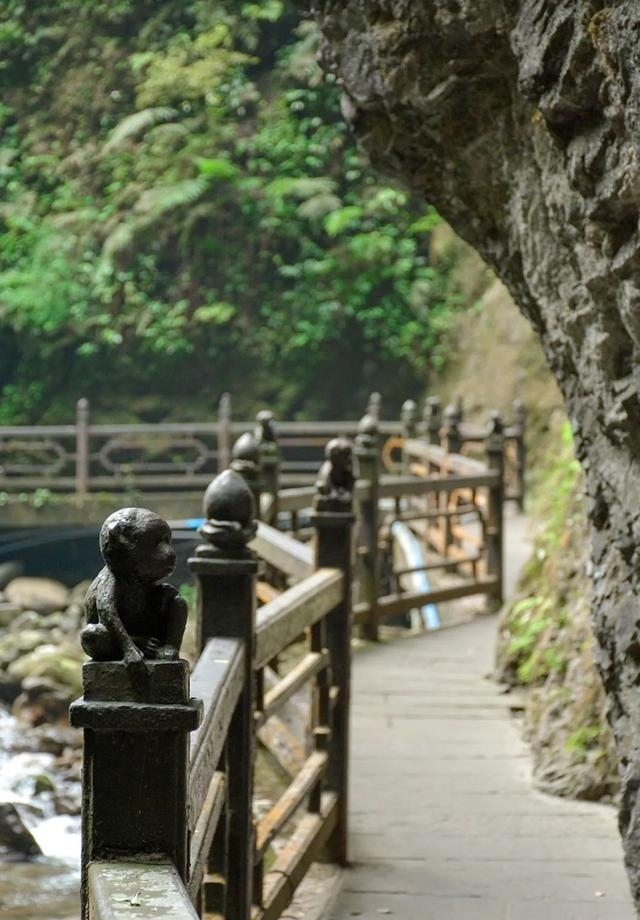 现在的峨眉山景色如何（最火的峨眉山夏日玩法）