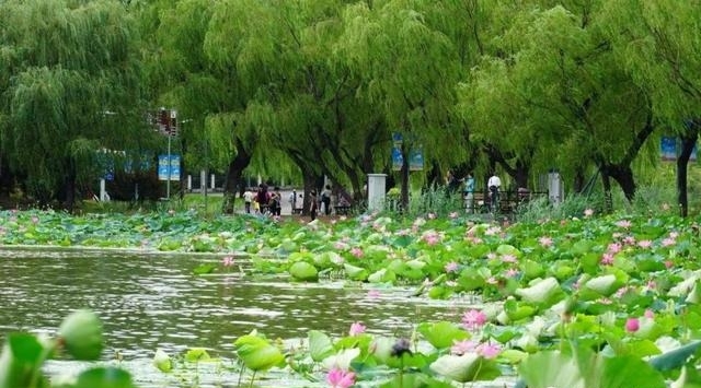 北京免门票的景区（北京十大免费旅游景点）