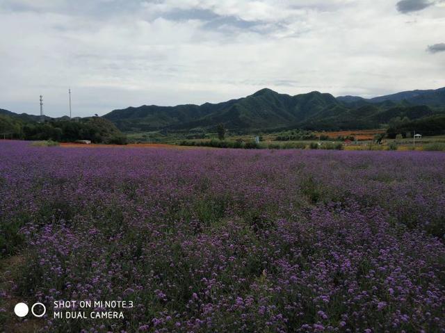 北京免费旅游的地方（北京26个免费风景优美的景区）