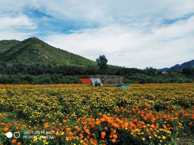 北京免费旅游的地方（北京26个免费风景优美的景区）