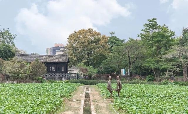 深圳游玩的地方推荐（深圳10个浪漫好去处）