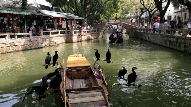 同里古镇景点介绍（同里旅游必去景点推荐）