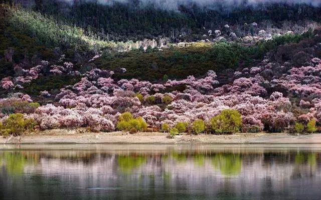 中国旅游胜地前二十名(中国去了就不想走二十大景点）