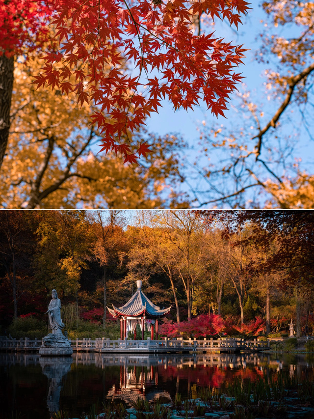 南京旅游攻略景点必去（南京最值得去的9个地方）