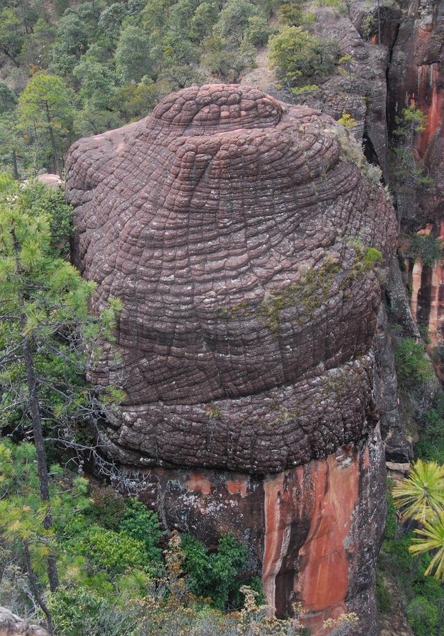 去丽江不知道怎么玩（丽江旅游需要安排多少天）