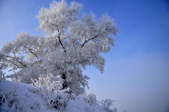 三清山什么季节去最好（江西三清山最佳旅游时间）