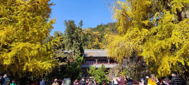 潭柘寺门票多少钱（先有潭柘寺，后有北京城）