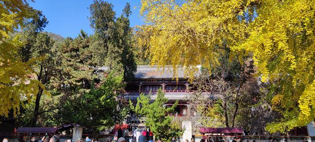 潭柘寺门票多少钱（先有潭柘寺，后有北京城）