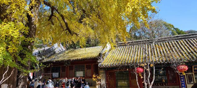 潭柘寺门票多少钱（先有潭柘寺，后有北京城）