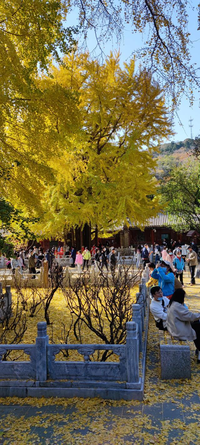 潭柘寺门票多少钱（先有潭柘寺，后有北京城）