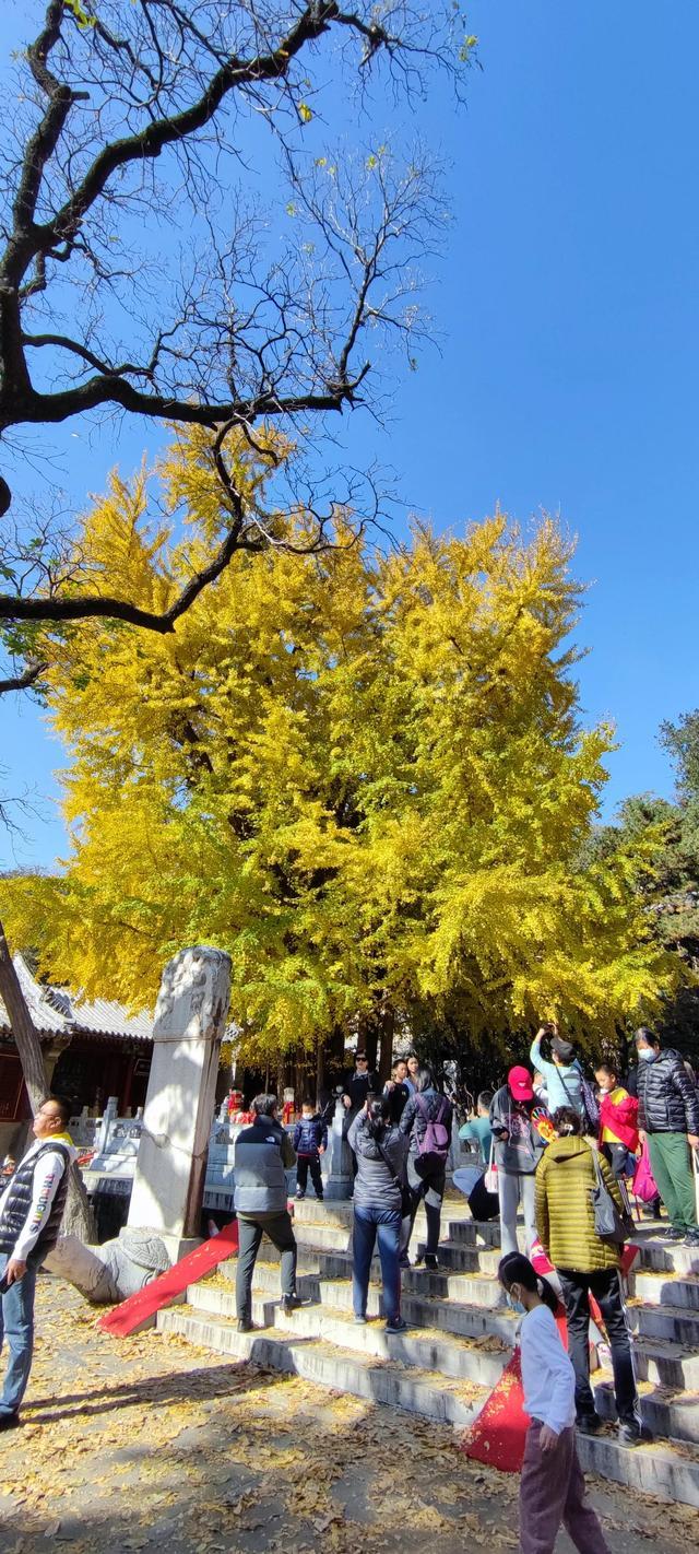 潭柘寺门票多少钱（先有潭柘寺，后有北京城）