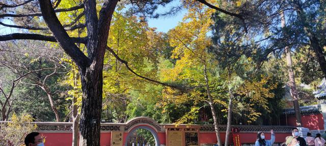 潭柘寺门票多少钱（先有潭柘寺，后有北京城）