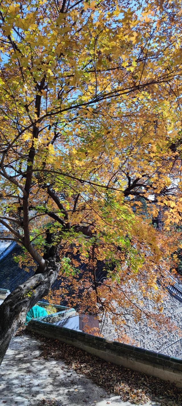 潭柘寺门票多少钱（先有潭柘寺，后有北京城）